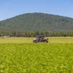 Photo 73 for Fall River Wild Rice Farm