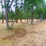 Photo 33 for Log Home in the Pines