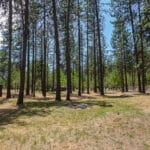 Photo 34 for In The Pines Ranch