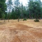 Photo 34 for Log Home in the Pines