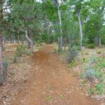 Photo 35 for Log Home in the Pines