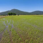 Photo 78 for Fall River Wild Rice Farm