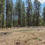 Photo 38 for In The Pines Ranch