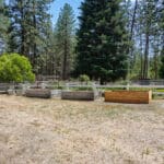 Photo 39 for In The Pines Ranch