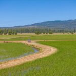 Photo 81 for Fall River Wild Rice Farm