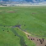 Photo 5 for Fort Bidwell Cattle Ranch
