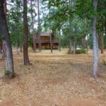 Photo 5 for Log Home in the Pines