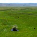 Photo 8 for Fort Bidwell Cattle Ranch