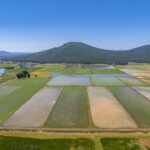 Photo 86 for Fall River Wild Rice Farm