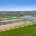 Photo 87 for Fall River Wild Rice Farm