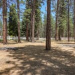 Photo 44 for In The Pines Ranch