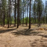 Photo 52 for In The Pines Ranch