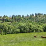 Photo 51 for MJ Ranch