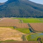 Photo 99 for Fall River Wild Rice Farm