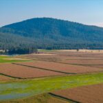 Photo 100 for Fall River Wild Rice Farm