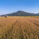 Photo 101 for Fall River Wild Rice Farm