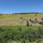 Photo 60 for MJ Ranch