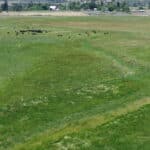Photo 12 for Fort Bidwell Cattle Ranch