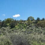 Photo 9 for Kilgore Hills