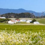 Photo 1 for D&H Stornetta Ranch
