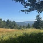 Photo 11 for Boddum Redwood Preserve