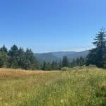 Photo 5 for Boddum Redwood Preserve