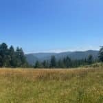 Photo 13 for Boddum Redwood Preserve