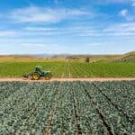 Photo 9 for Reynolds Land and Cattle Co. Farmland