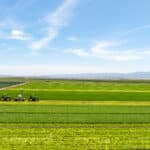 Photo 10 for Reynolds Land and Cattle Co. Farmland