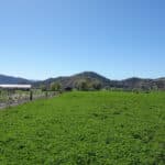 Photo 12 for Kraus and Sons Ranch