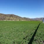 Photo 13 for Kraus and Sons Ranch