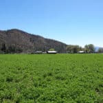 Photo 17 for Kraus and Sons Ranch