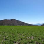 Photo 18 for Kraus and Sons Ranch