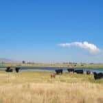 Photo 3 for Susan River Ranch