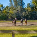 Photo 146 for Churn Creek Ranch