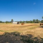 Photo 147 for Churn Creek Ranch