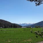Photo 30 for Kraus and Sons Ranch