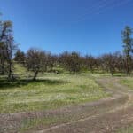 Photo 32 for Kraus and Sons Ranch