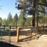Photo 32 for Dutton Log Home