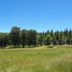 Photo 34 for Mill Creek Ranch