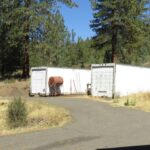 Photo 35 for Dutton Log Home