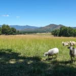 Photo 36 for Mill Creek Ranch