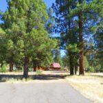 Photo 36 for Dutton Log Home