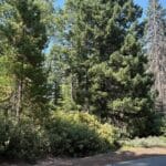 Photo 3 for 40 Acres Siskiyou (410)