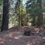 Photo 5 for 40 Acres Siskiyou (410)
