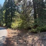 Photo 6 for 40 Acres Siskiyou (410)