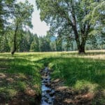 Photo 41 for Mill Creek Ranch