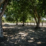 Photo 42 for Woodard Ranch
