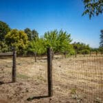 Photo 43 for Woodard Ranch