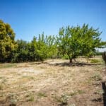 Photo 44 for Woodard Ranch